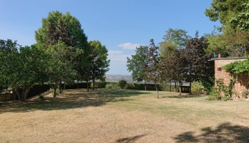 cc25-4.jpg
